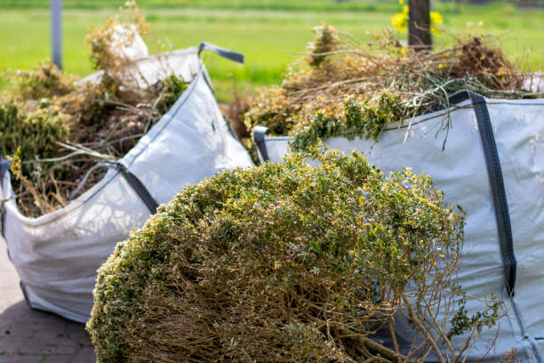Best Shed Removal  in Elberta, AL